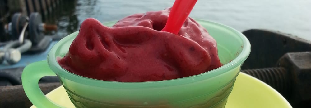 bramenijs met visie header - Bramenijs met visie