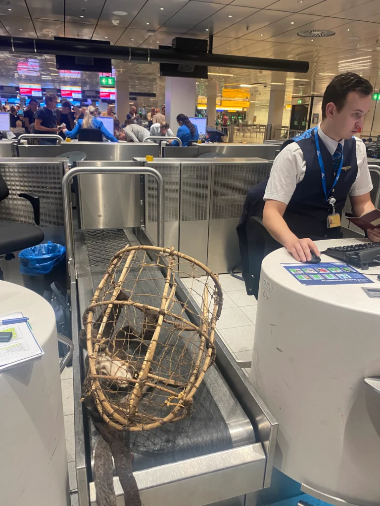 Een samenwerking met de natuur in ALONE - Daan in ALONE neemt eigen gemaakte spullen mee