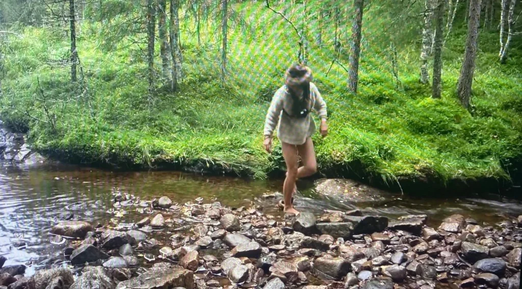 ALONE Daan in de wildernis