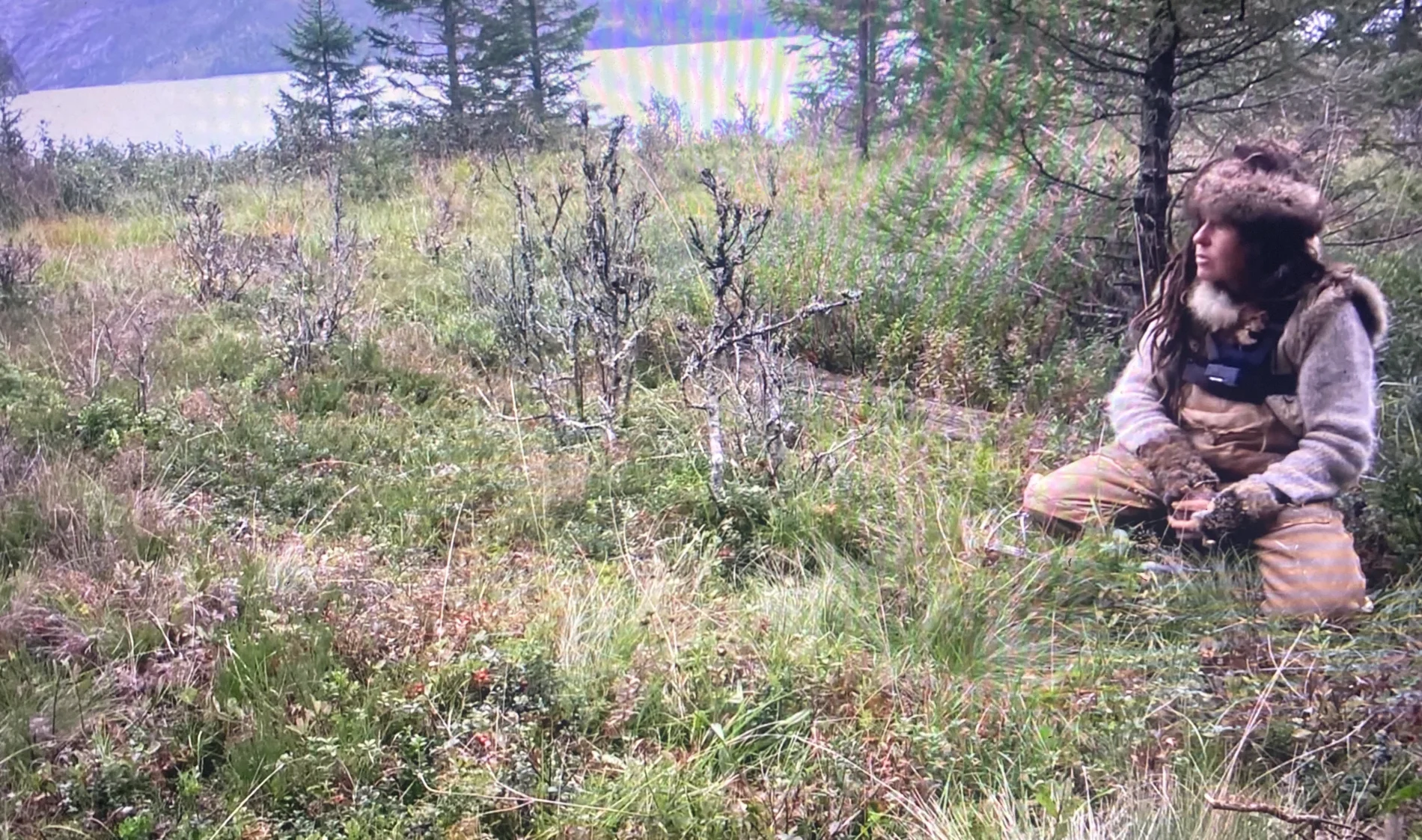 Alone met de beren in het wild