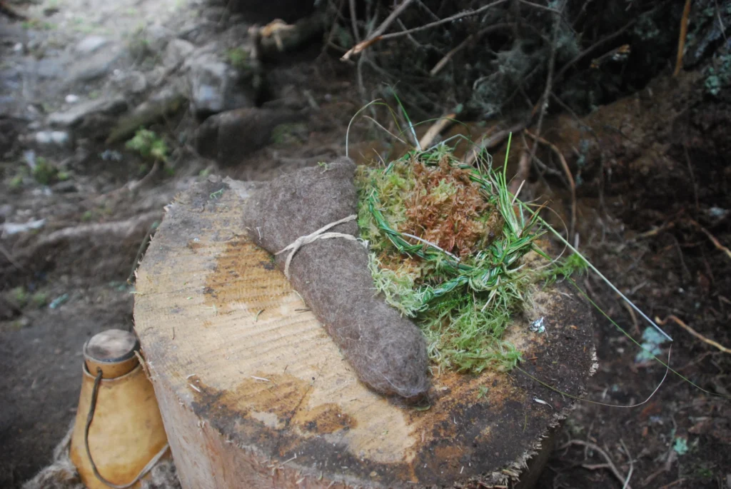 Menstrueren in de Wildernis: Terug naar de Basis met Veenmos - menstruatie inhet wild veenmos Daantimmers gaatwild - Menstrueren in de Wildernis: Terug naar de Basis met Veenmos