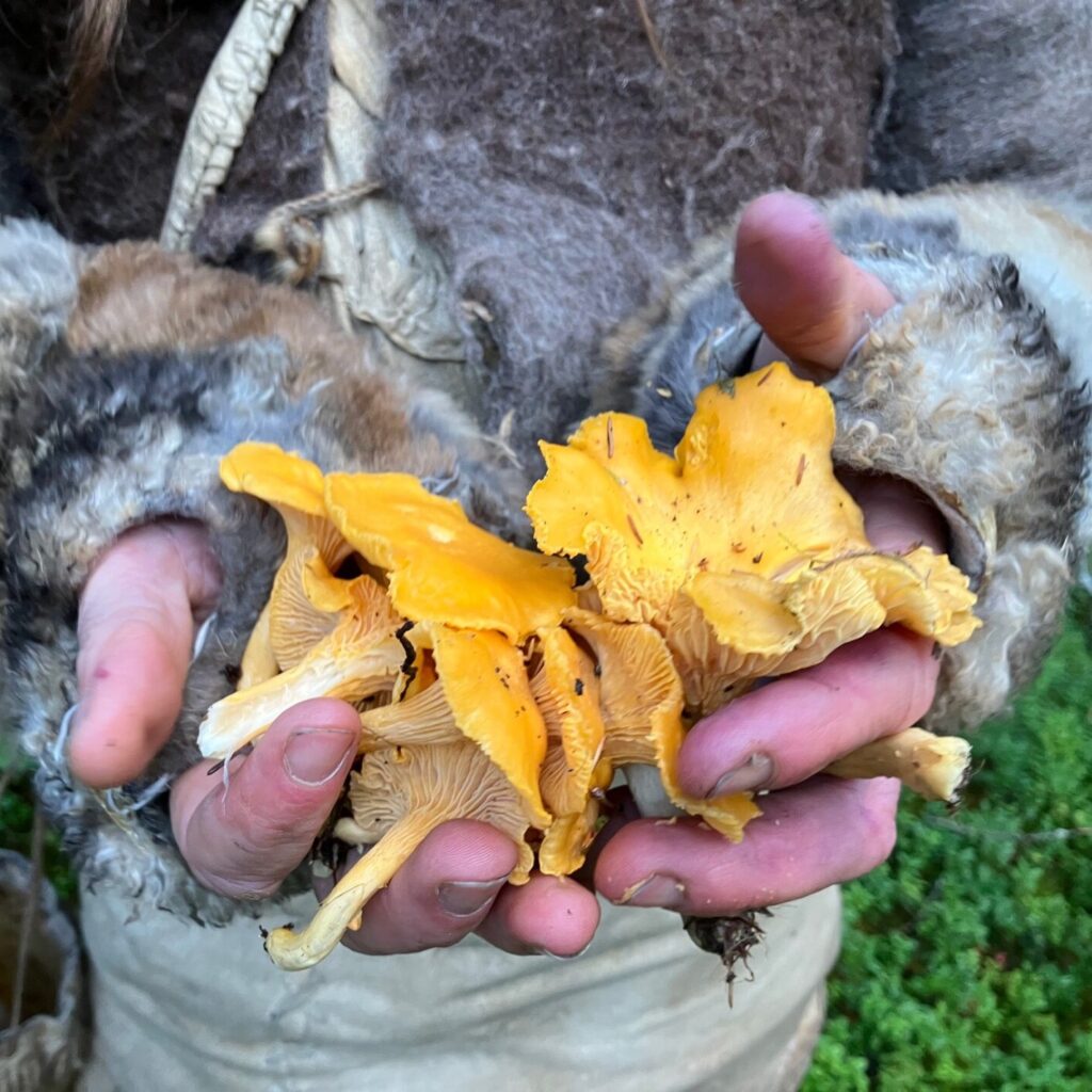 IMG 0310 scaled e1738396817295 - Verwilder-Community! - pakket