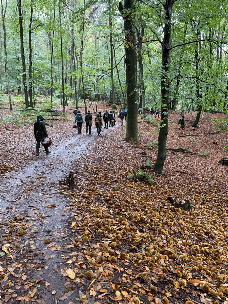 Verwilder Skills 3 dagen wandelen in bos