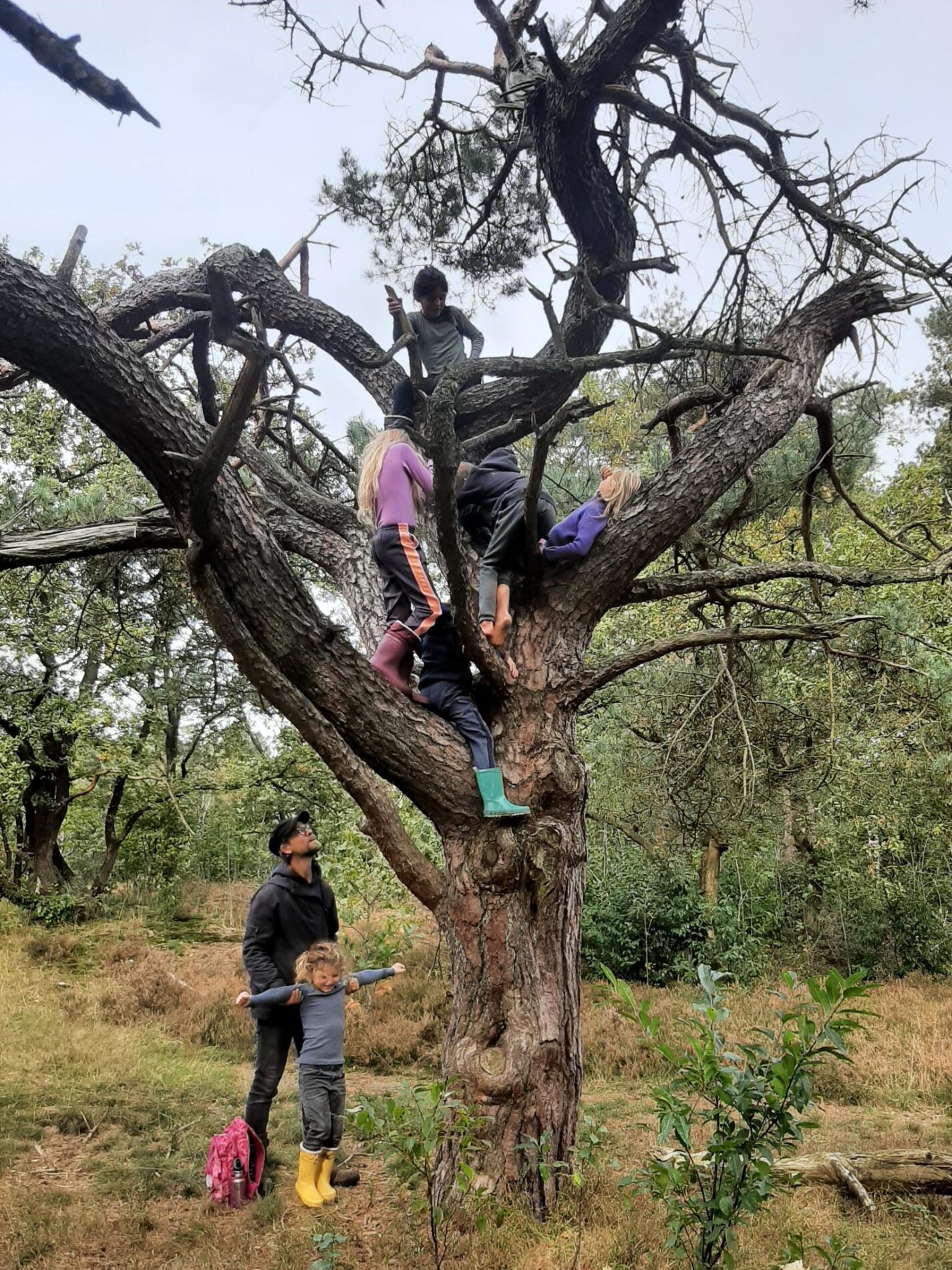 Verwilder Jezelf! - signal 2024 10 08 210522 scaled - Verwilder Jezelf!