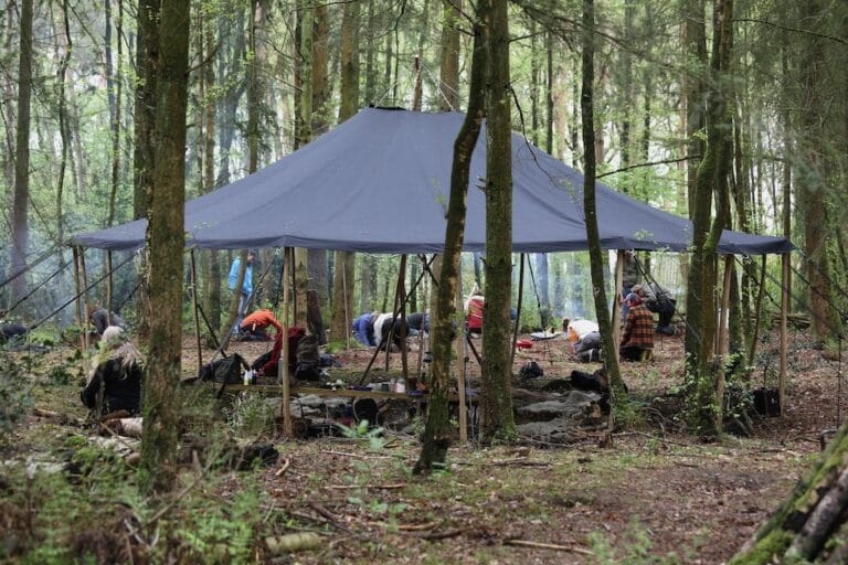 5A8B2541 - Verwildernis in Organisaties