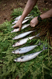 Wild Skills Jaaropleiding 2026 / start 6 maart - 5A8B4183 - Wild Skills Jaaropleiding 2026 / start 6 maart